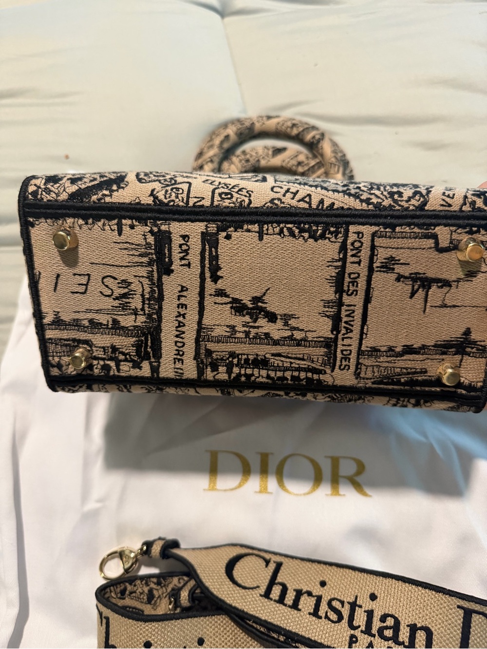 🔥 AUTHENTIC DIOR LADY D-LITE – PLAN DE PARIS – MEDIUM 🔥 - Picture 8 of 12